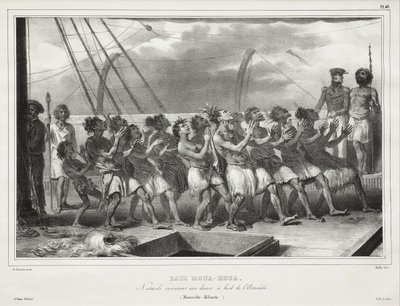 Tolaga ... by Louis Auguste de Sainson